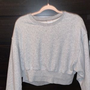Cropped Sweatshirt ( Aritzia )
